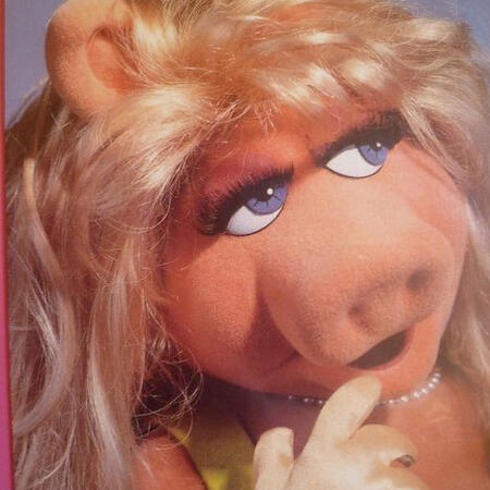 miss piggy....she/they....sexual holder....the muppets